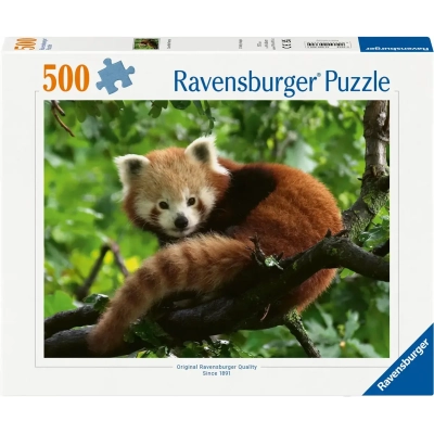 Süsser roter Panda
