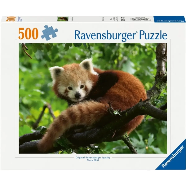 Süsser roter Panda