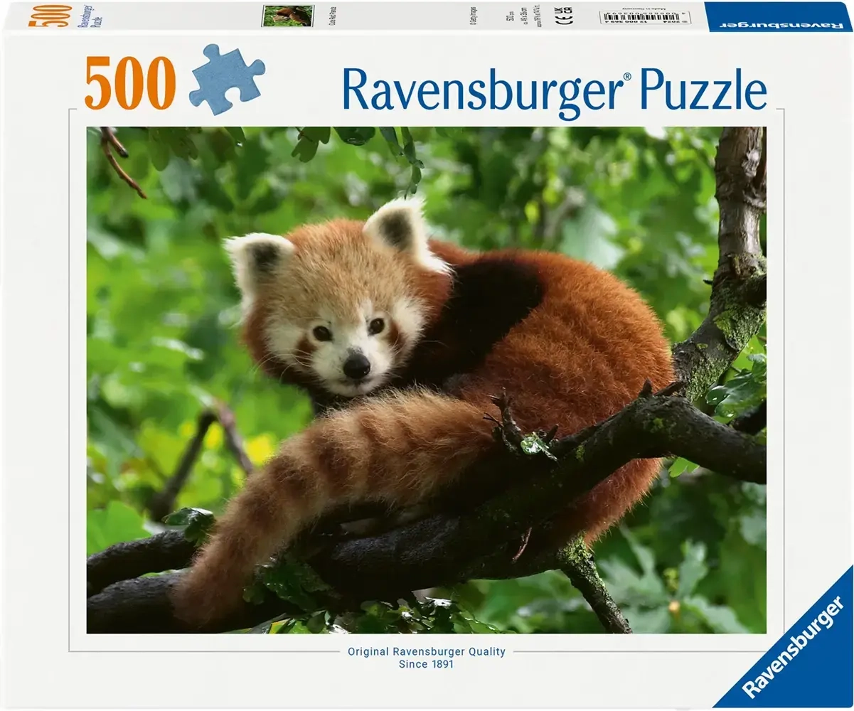 Süsser roter Panda