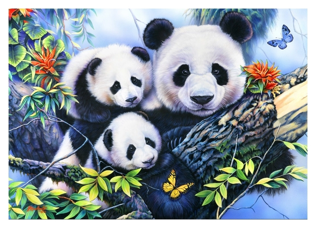 Panda Family