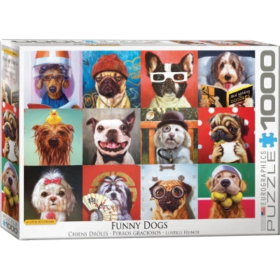 Lustige Hunde