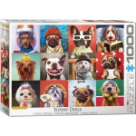 Lustige Hunde