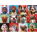 Lustige Hunde