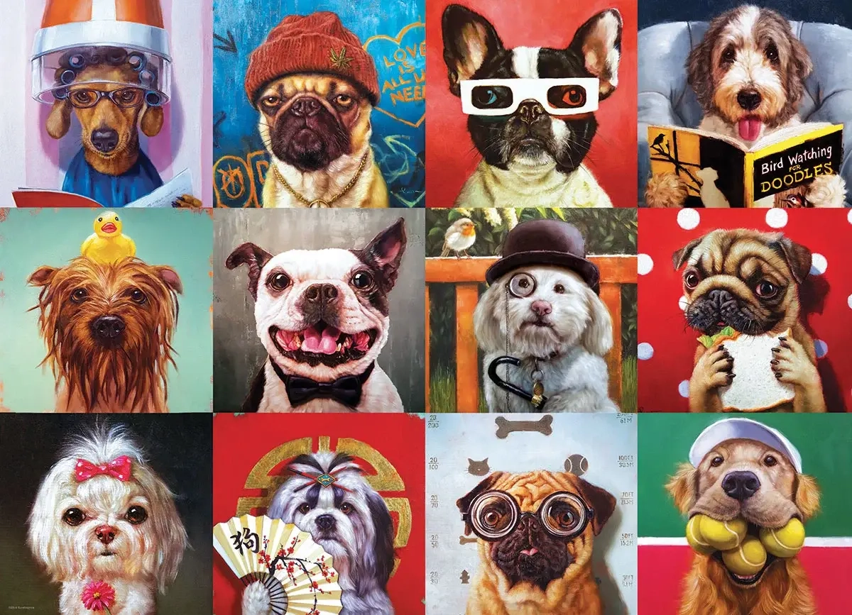 Lustige Hunde