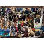 Harry Potter gegen Voldemort