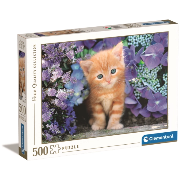 Ginger Cat