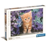 Ginger Cat