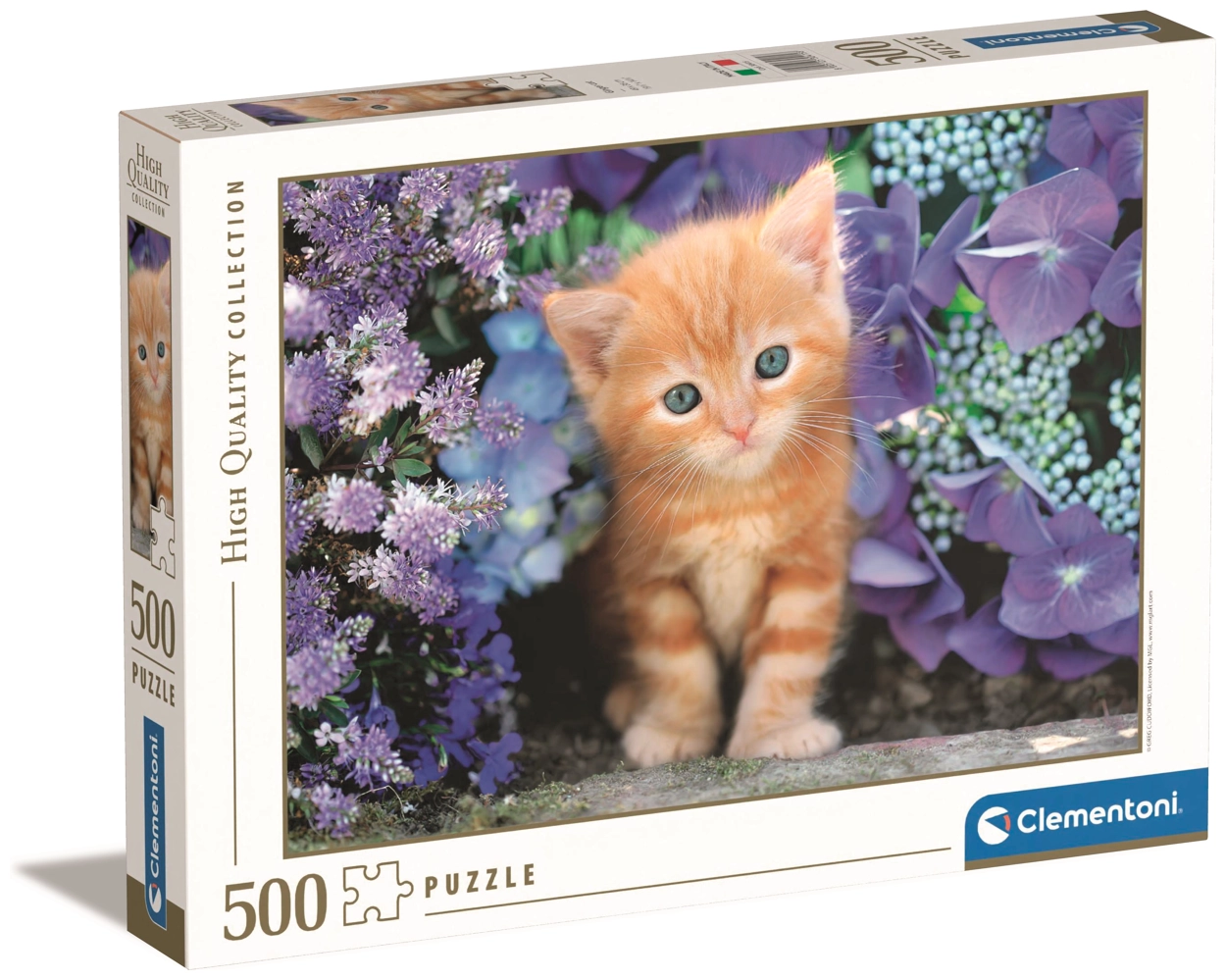 Ginger Cat