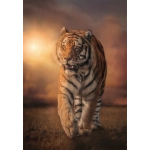 Müder Tiger