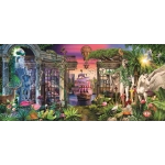 Visionaria