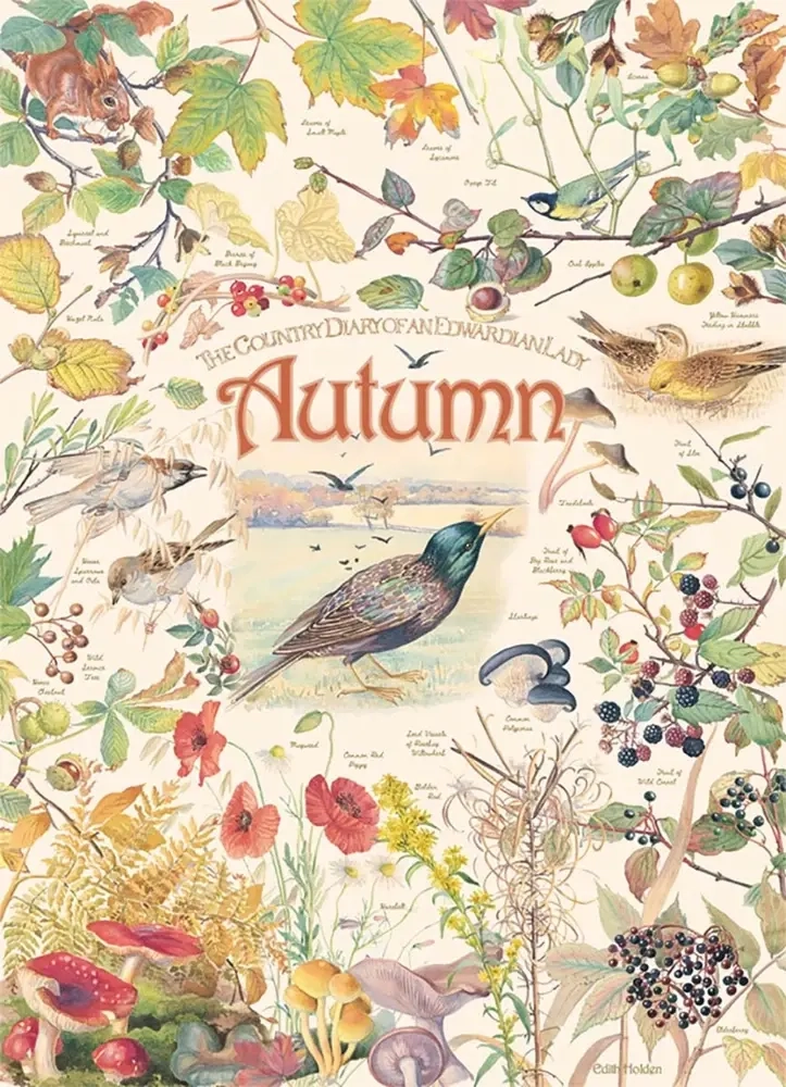 Country Diary - Autumn