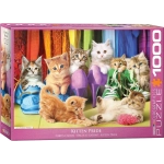 Katzen Pride