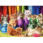 Katzen Pride