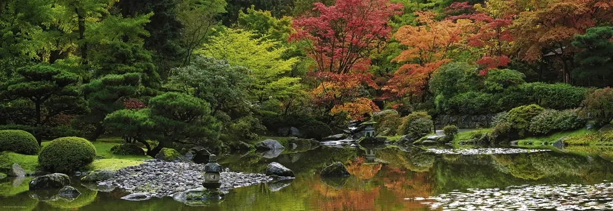Zen Reflection