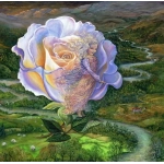 Adrift - Josephine Wall