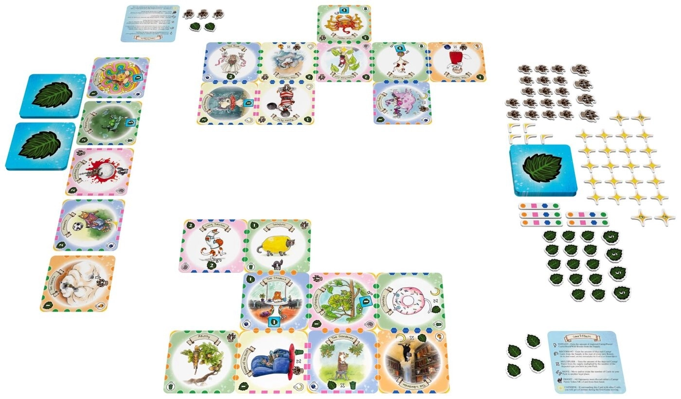 Cat Packs - EN