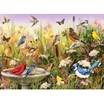 Feathered Friends