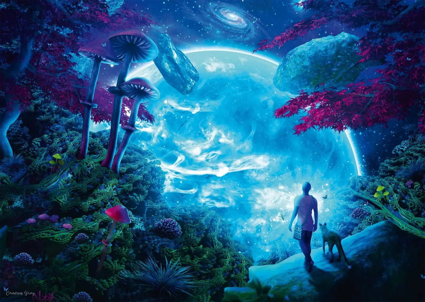 Himmelsfantasie - Cameron Gray