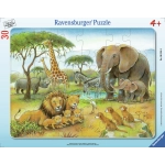 Afrikas Tierwelt