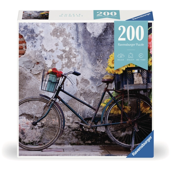 Bicycle - Puzzle Moment