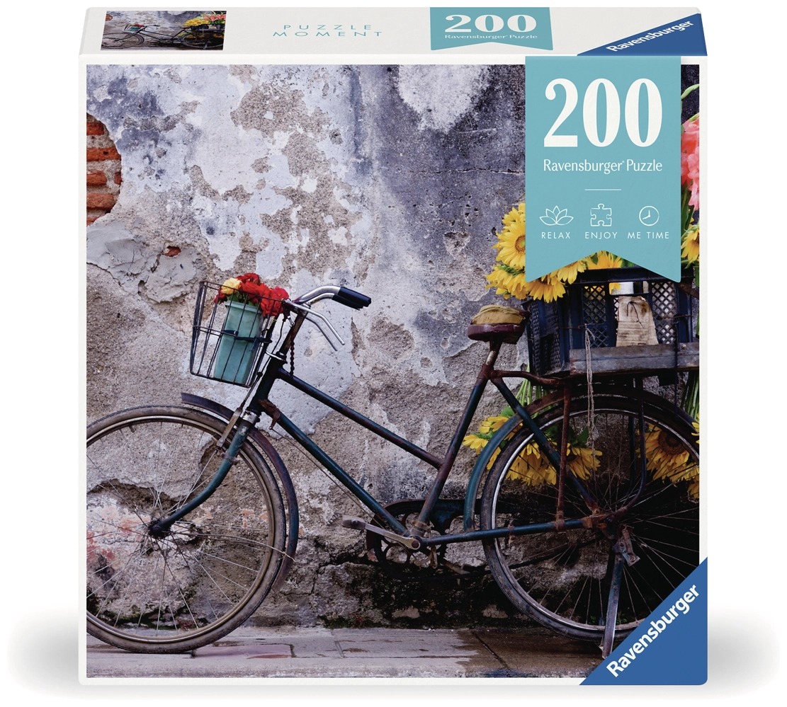 Bicycle - Puzzle Moment