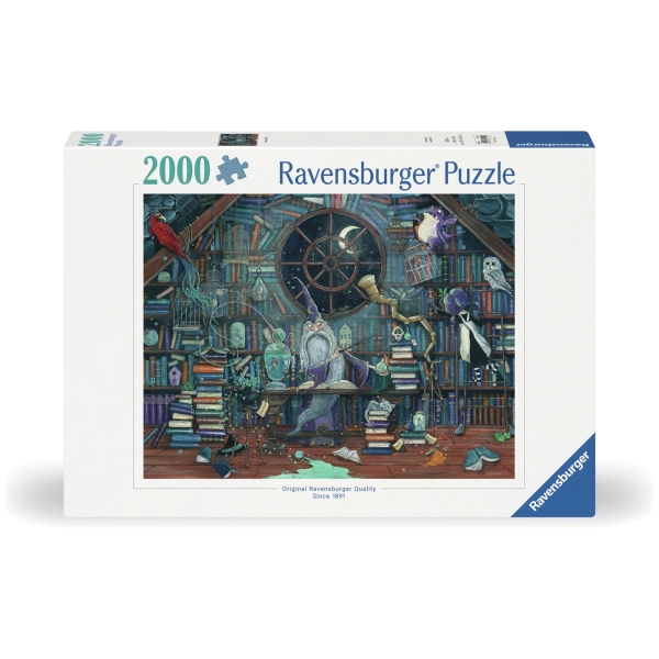 Der Zauberer Merlin - Zoe Sadler
