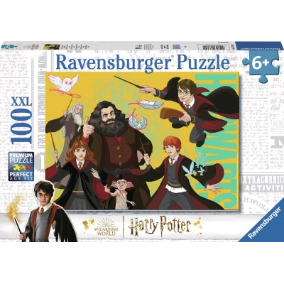 Der junge Zauberer Harry Potter