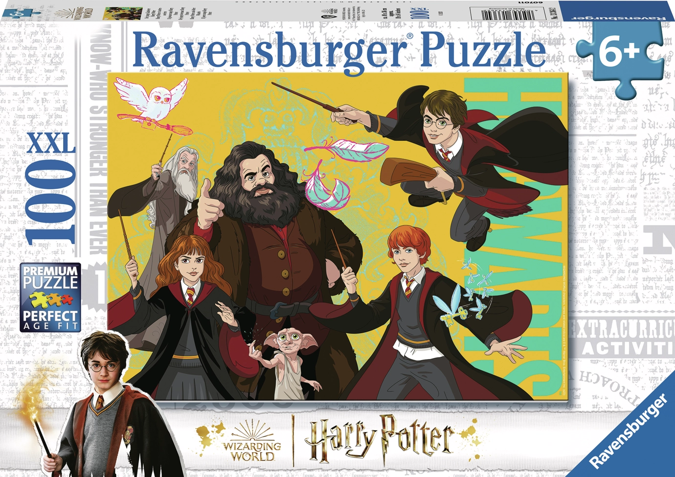 Der junge Zauberer Harry Potter