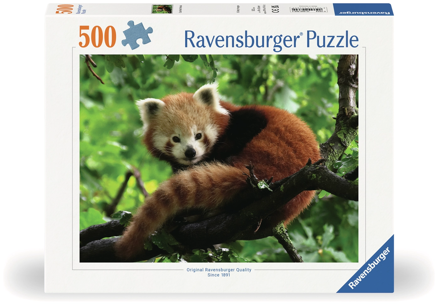 Süsser roter Panda