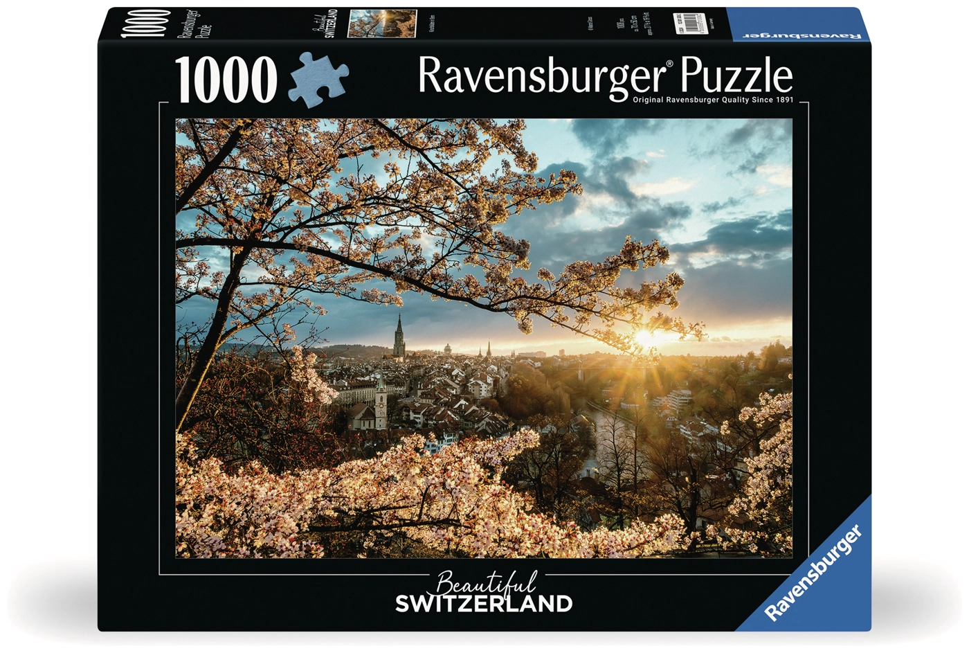 Kirschblüten in Bern