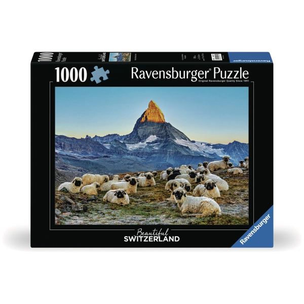Meet the Sheep Zermatt