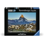 Meet the Sheep Zermatt