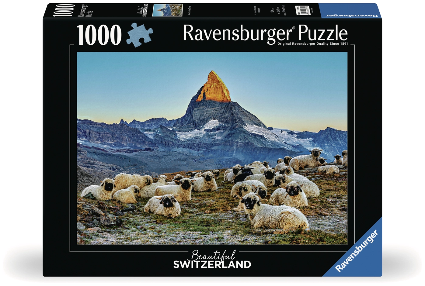 Meet the Sheep Zermatt