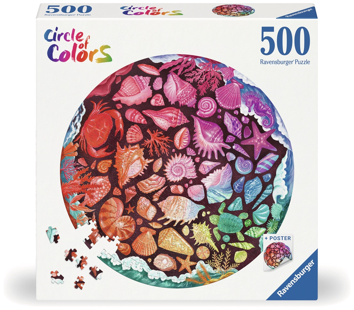 Circle of colors - Seashells