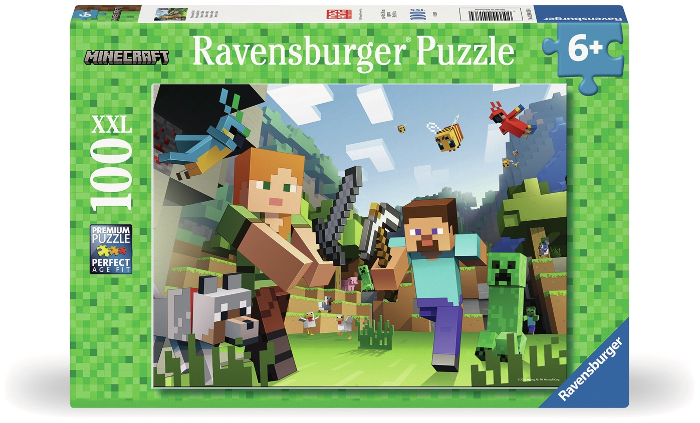 Minecraft Steve und Alex