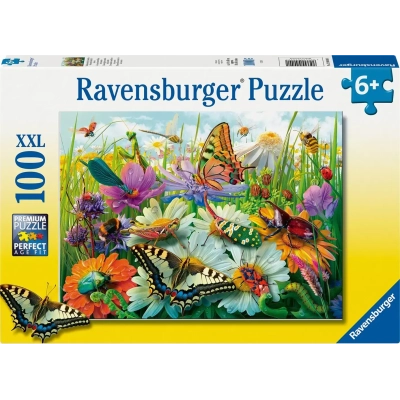 Wunderwelt der Insekten