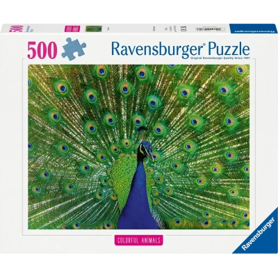 Blauer Pfau