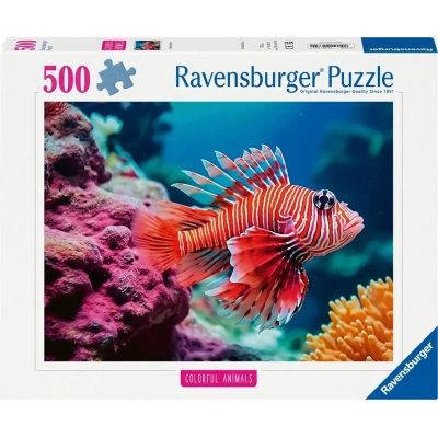 Pazifischer Rotfeuerfisch