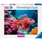 Pazifischer Rotfeuerfisch