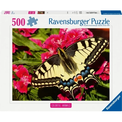 Schöner Schmetterling
