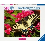 Schöner Schmetterling