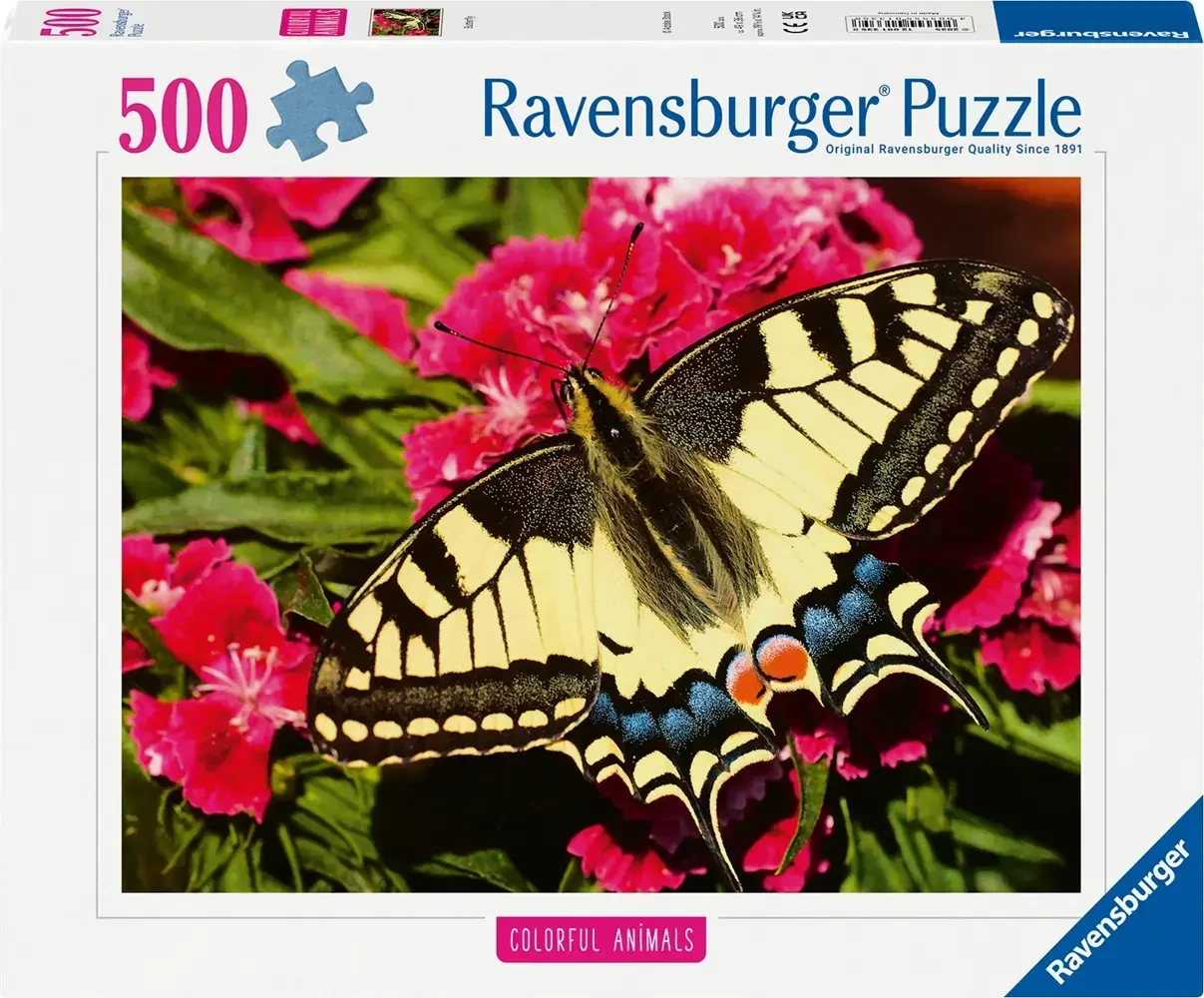 Schöner Schmetterling