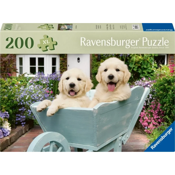 Golden Retriever