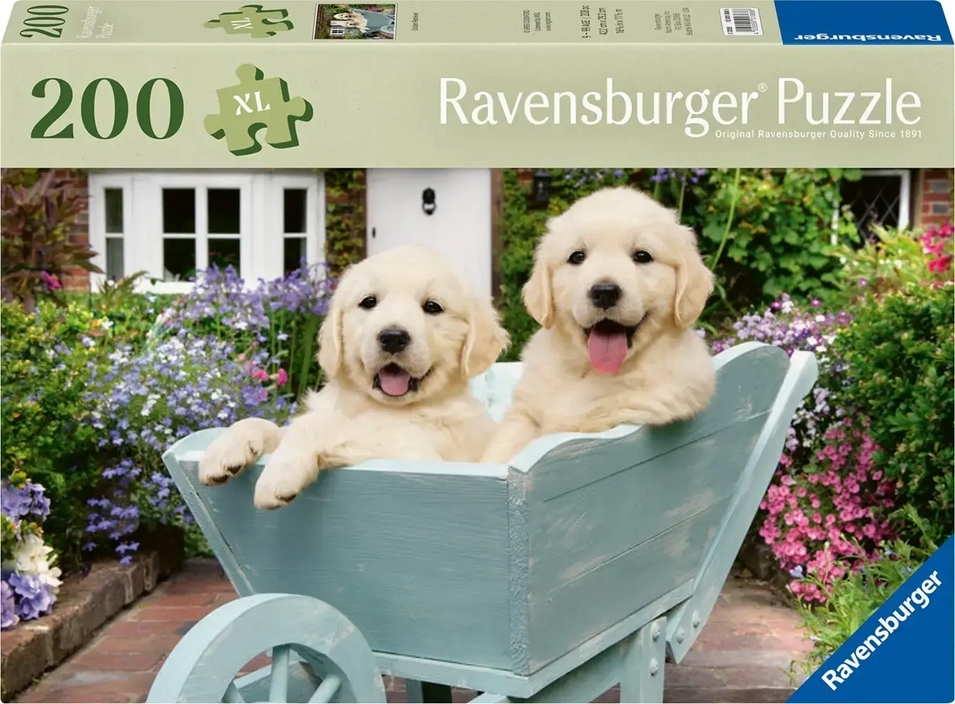 Golden Retriever