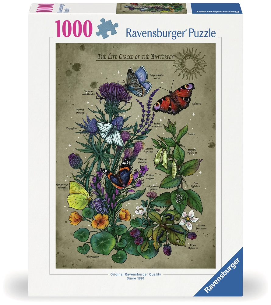 Der Lebenskreis der Schmetterlinge