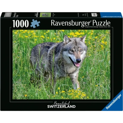 Wolf im Tierpark Goldau