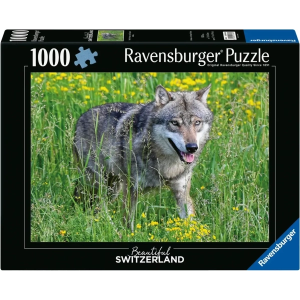 Wolf im Tierpark Goldau
