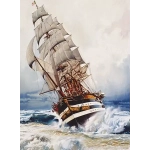 Black Pearl