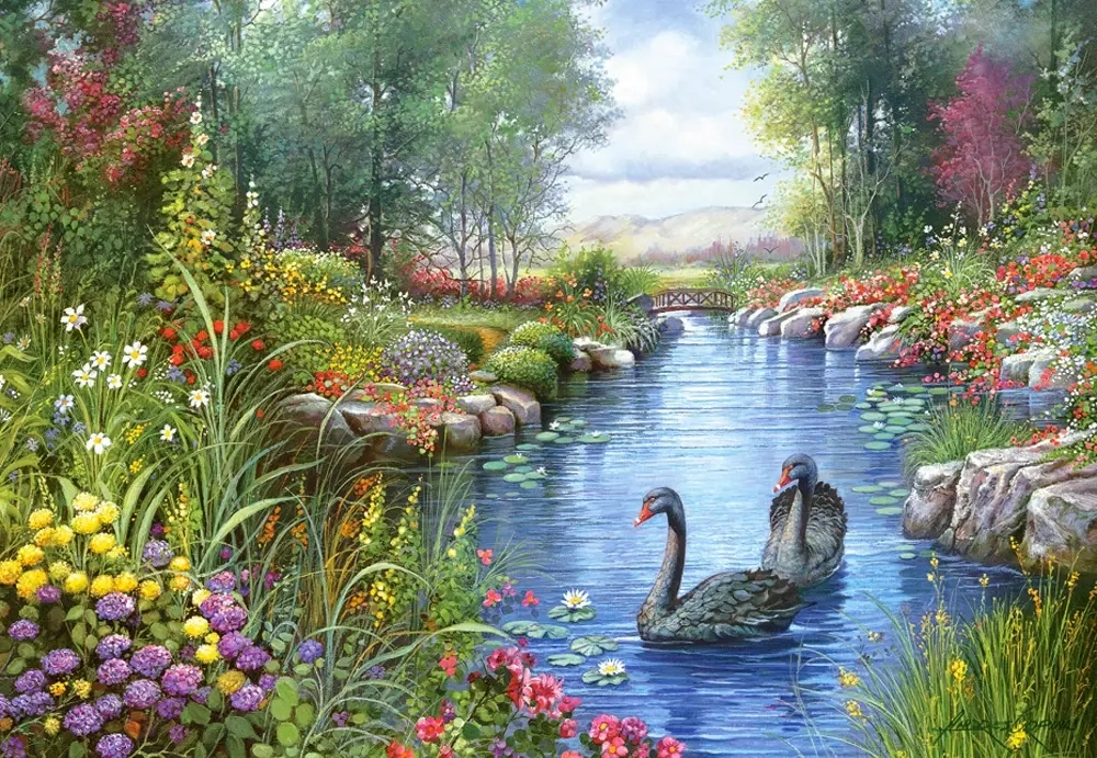 Black Swans - Andres Orpinas