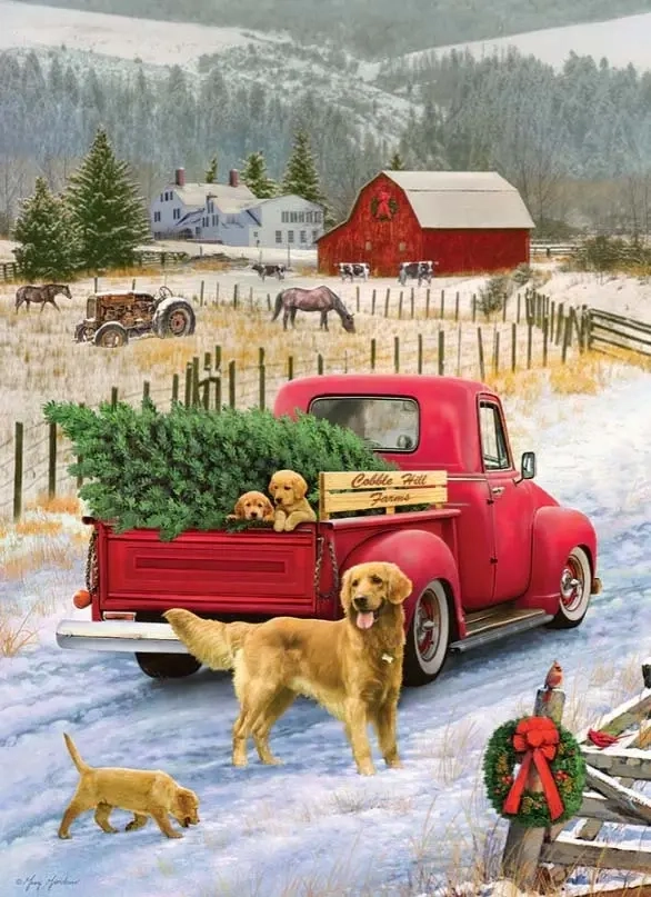 Weihnachten auf dem Land